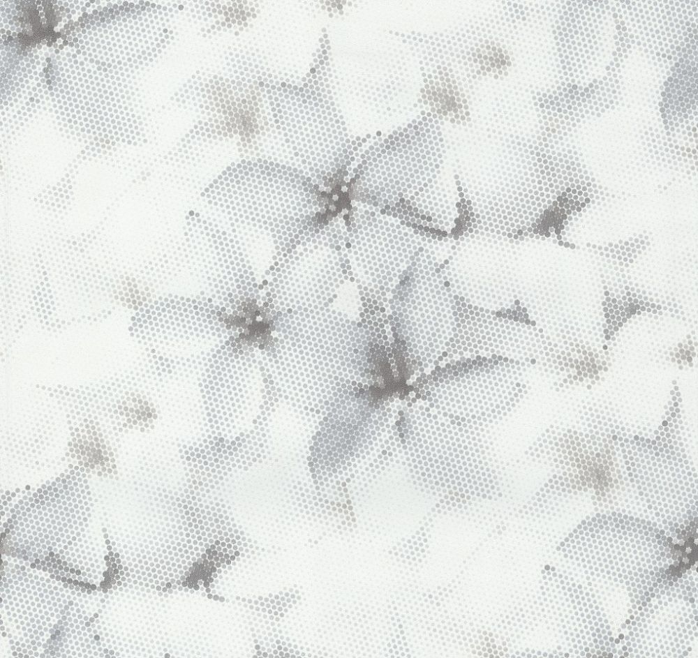 Image-product