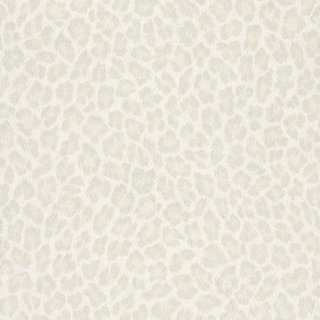 Image-product