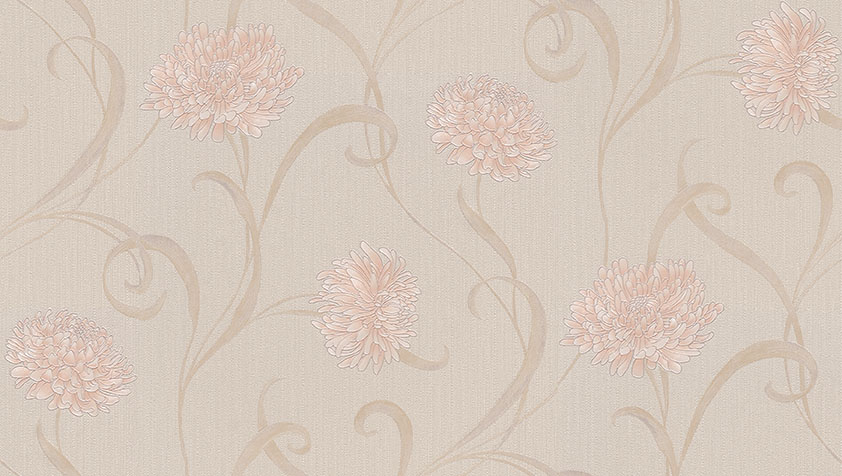 Image-product
