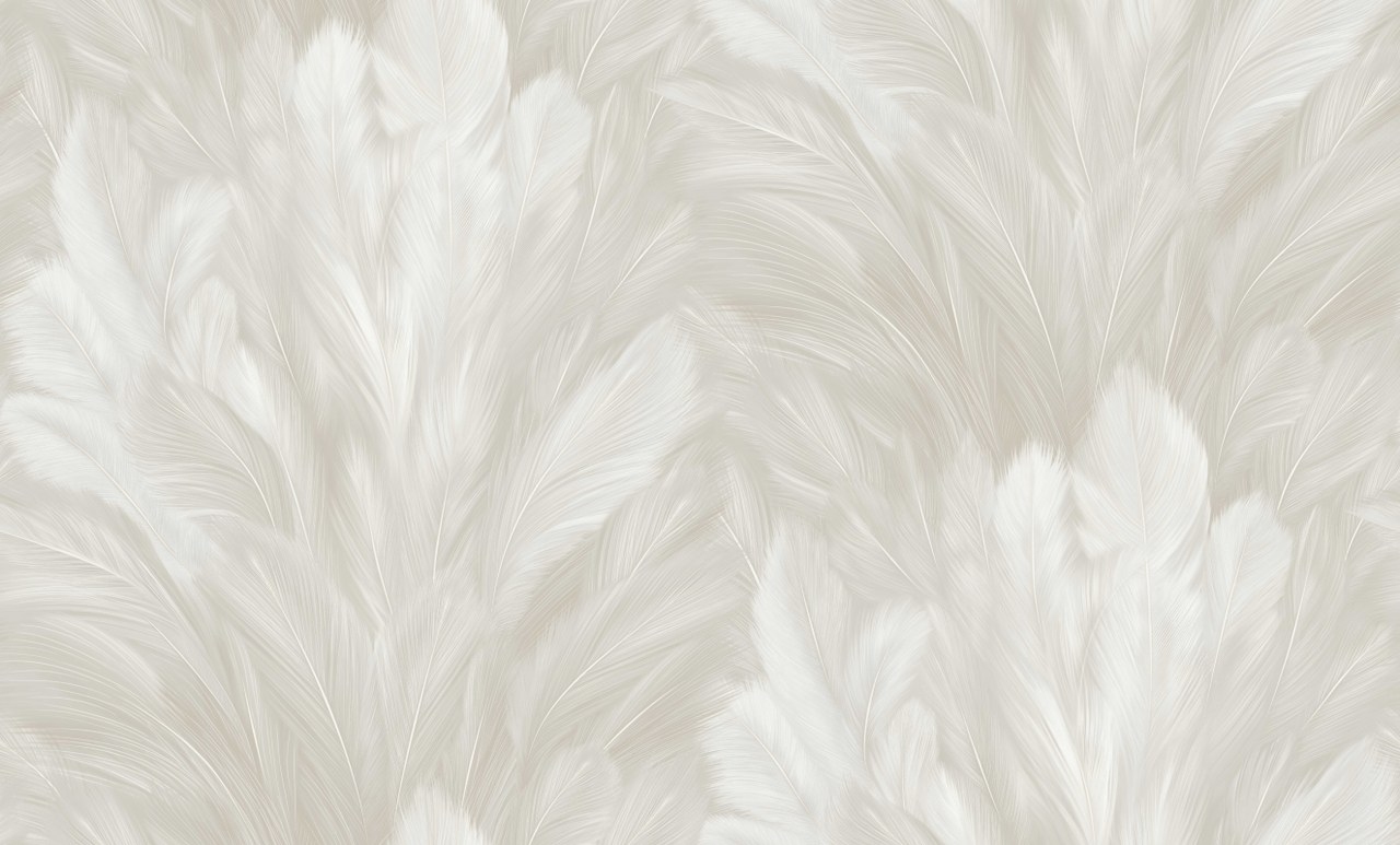 Image-product