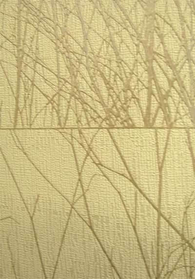 Image-product