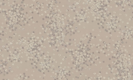 Image-product