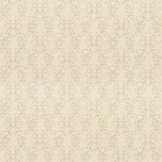 Image-product
