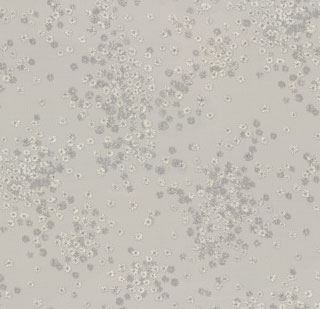 Image-product