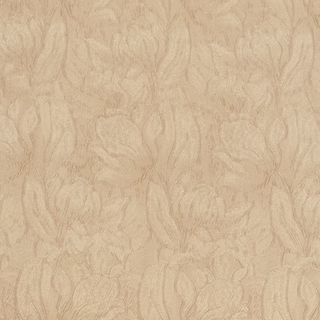 Image-product
