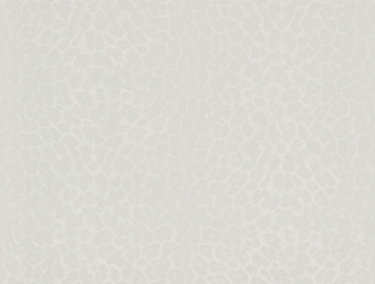 Image-product