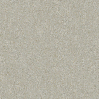 Image-product