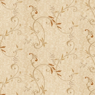 Image-product