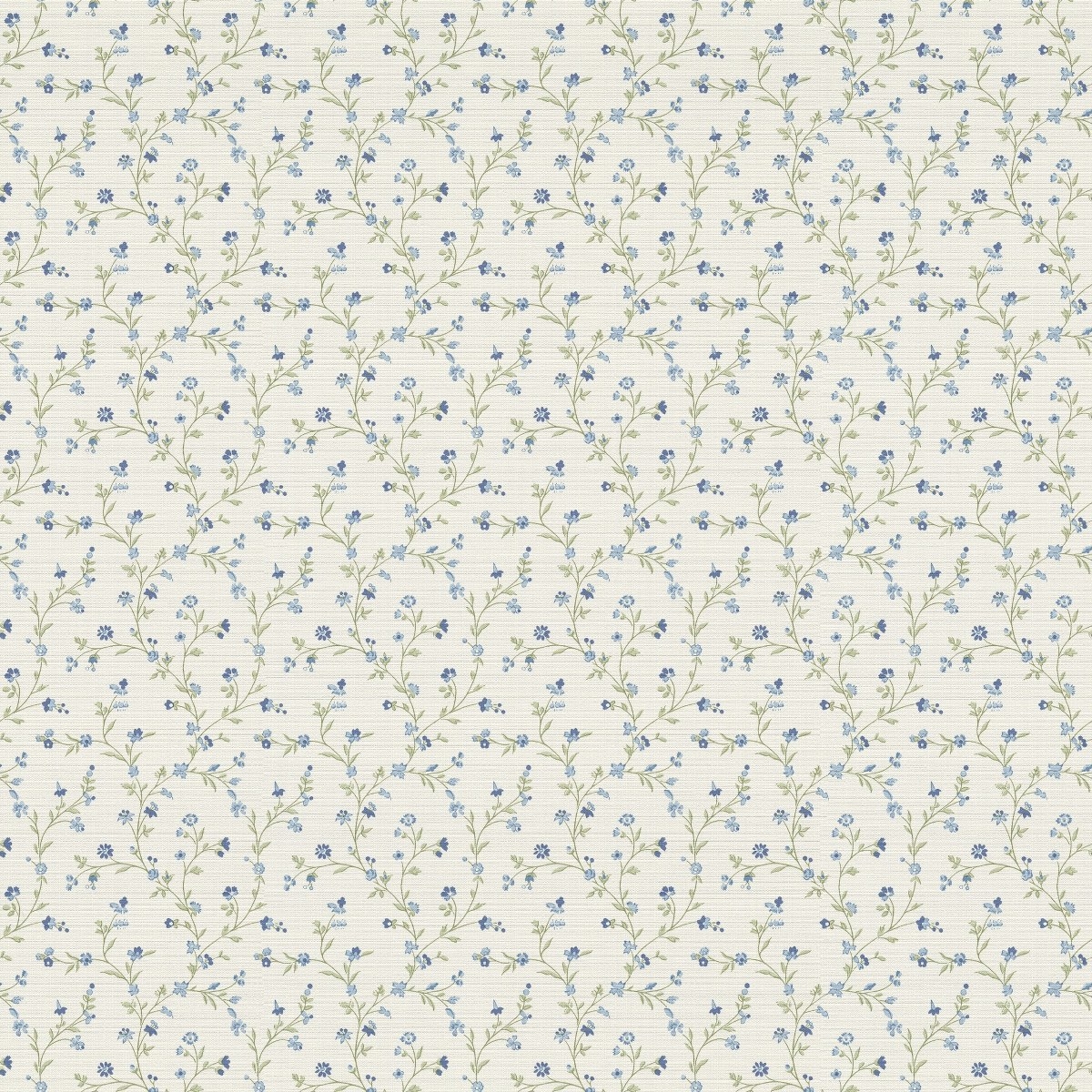 Image-product