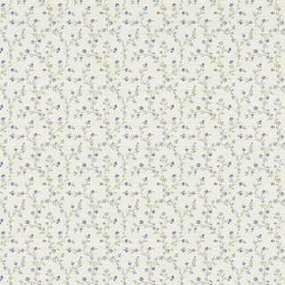 Image-product