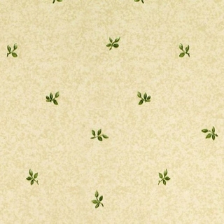 Image-product