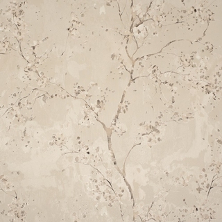 Image-product