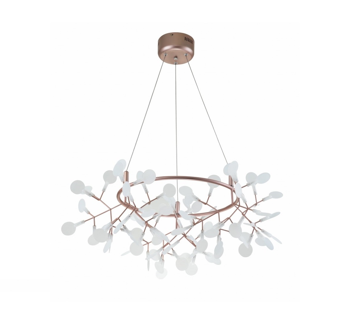 Image-product