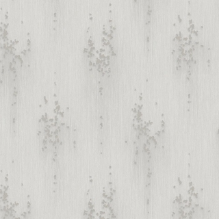 Image-product
