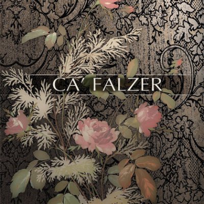 CAFALZER 2016