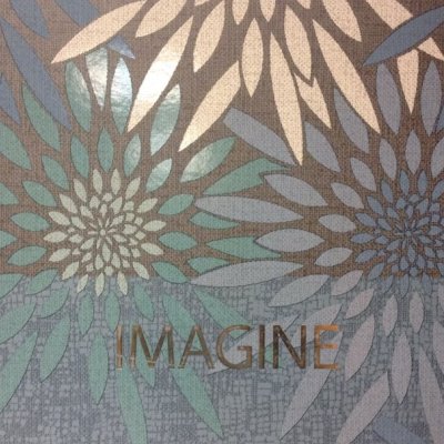 Imagine 2011