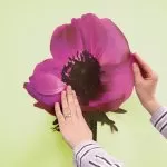 17012 Stiker Anemone 125*38cm - img 2
