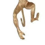 FL6584-1W Aplica Monkey Flitz  - img 7