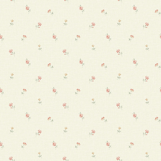 Image-product
