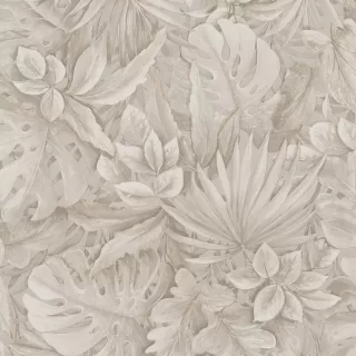 Image-product