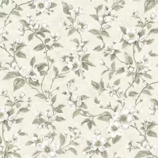 Image-product