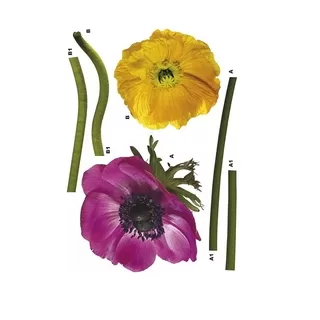 17012 Stiker Anemone 125*38cm