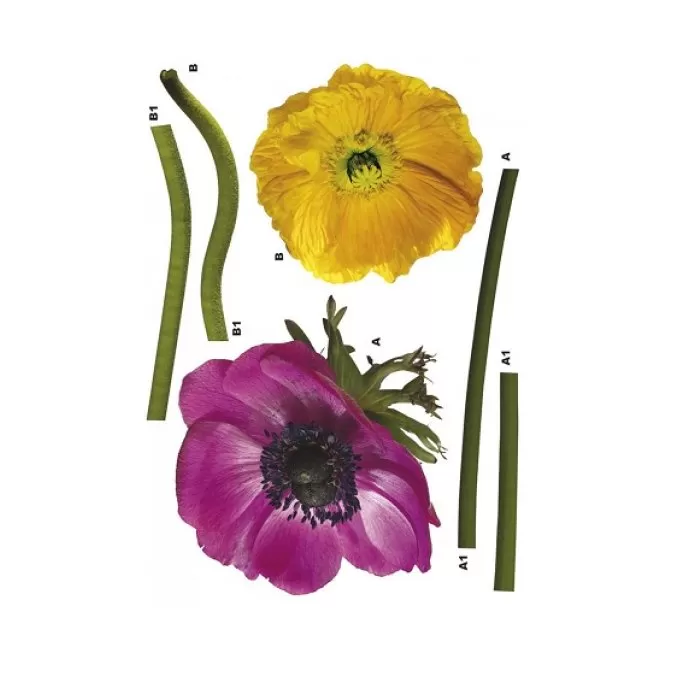 17012 Stiker Anemone 125*38cm - img 1