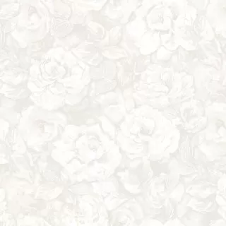Image-product