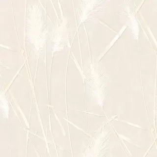 Image-product