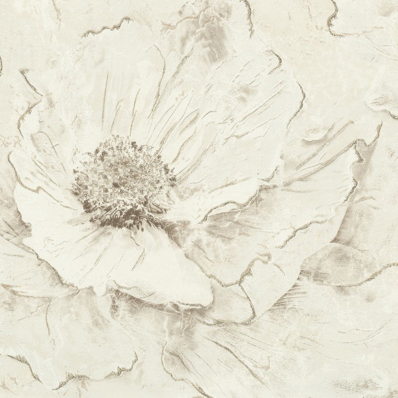 Image-product