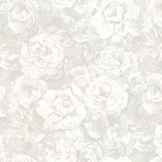 Image-product