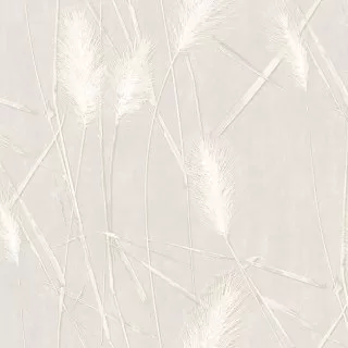 Image-product