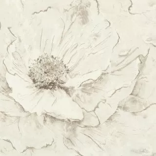 Image-product