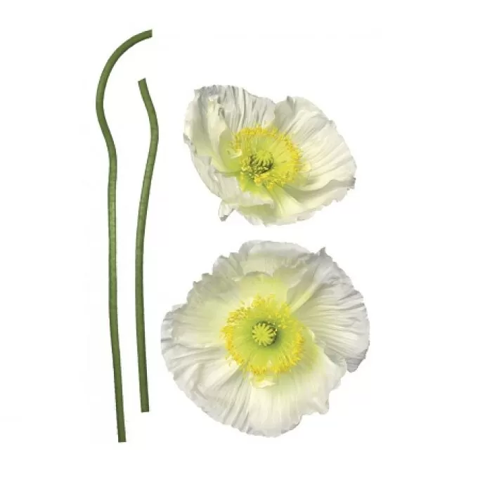 17022 Stiker Pavot Blanc 83*30cm - img 1
