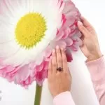 17023 Stiker Daisy 85*35cm - img 2