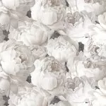 585338 Tapete Peony 1.06 m./6rul/cut - img 1