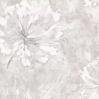 Image-product