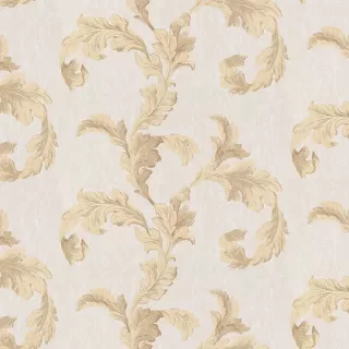 Image-product