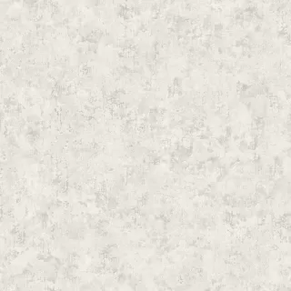 Image-product