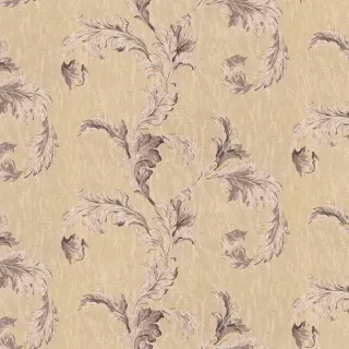 Image-product