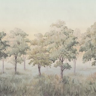 Image-product