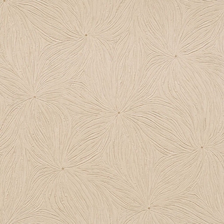 Image-product