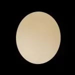 LP5216-D23W Aplica Wallcircle gold Lampardi D230 - img 9