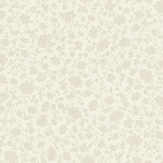 Image-product