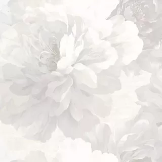 Image-product