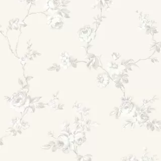 Image-product