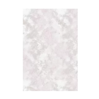2820B_A1381 Pink/ Bej Covor Aysil 160 x 230