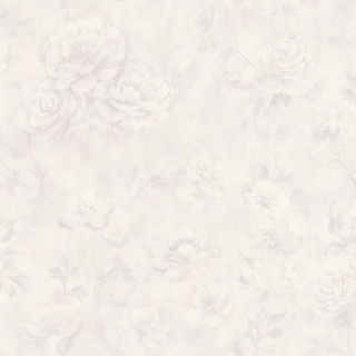 Image-product