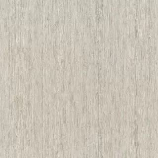 Image-product