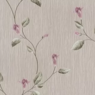 Image-product